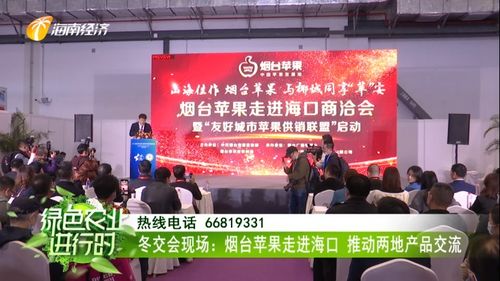 煙臺蘋果香飄?？?冬交盛會架起南北交流新橋梁